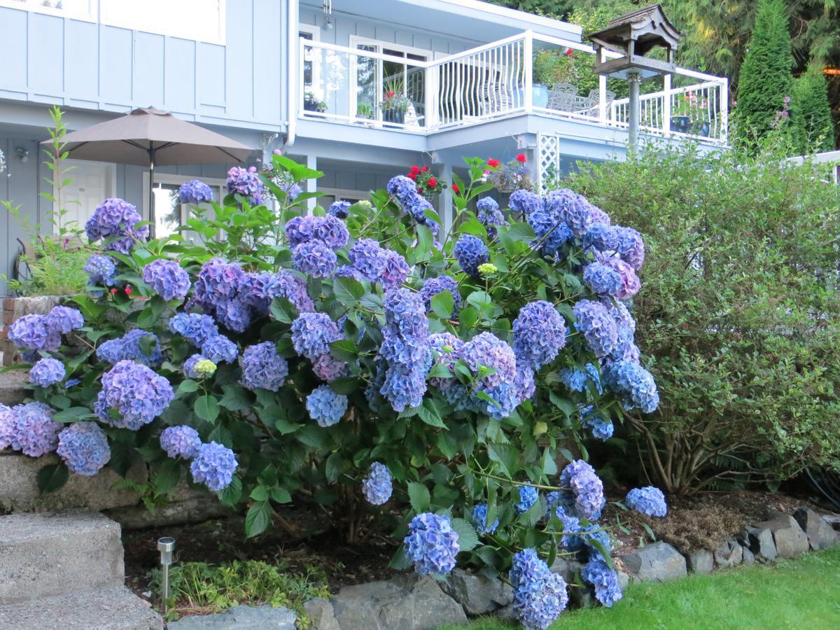 Caprice Bed & Breakfast Roberts Creek Exterior photo